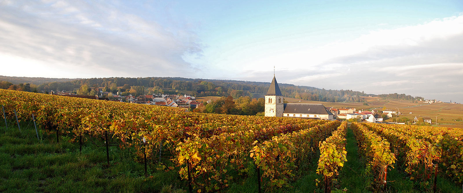 Au coeur de la montagne de Reims