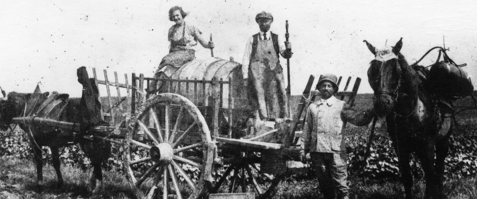 Une histoire de famille depuis 1874