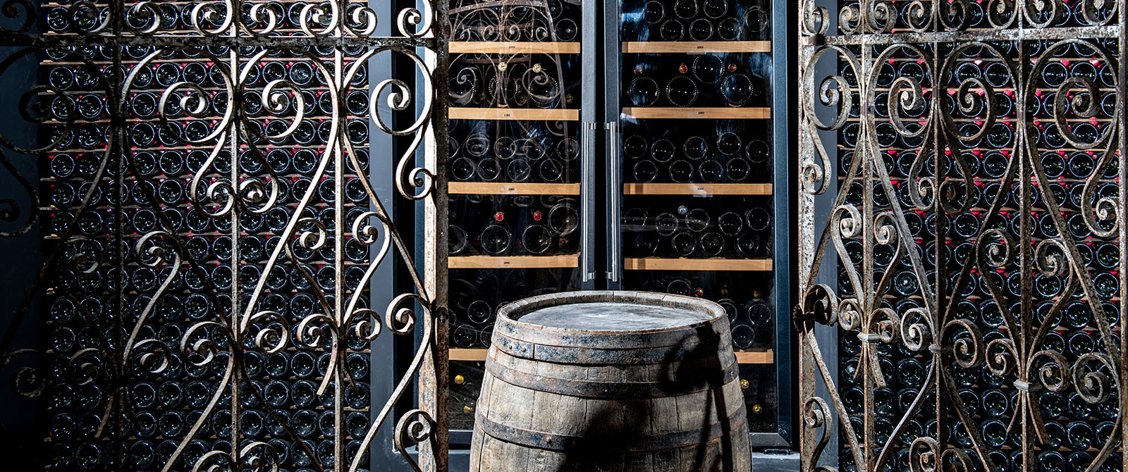 Le vignoble de Sacy