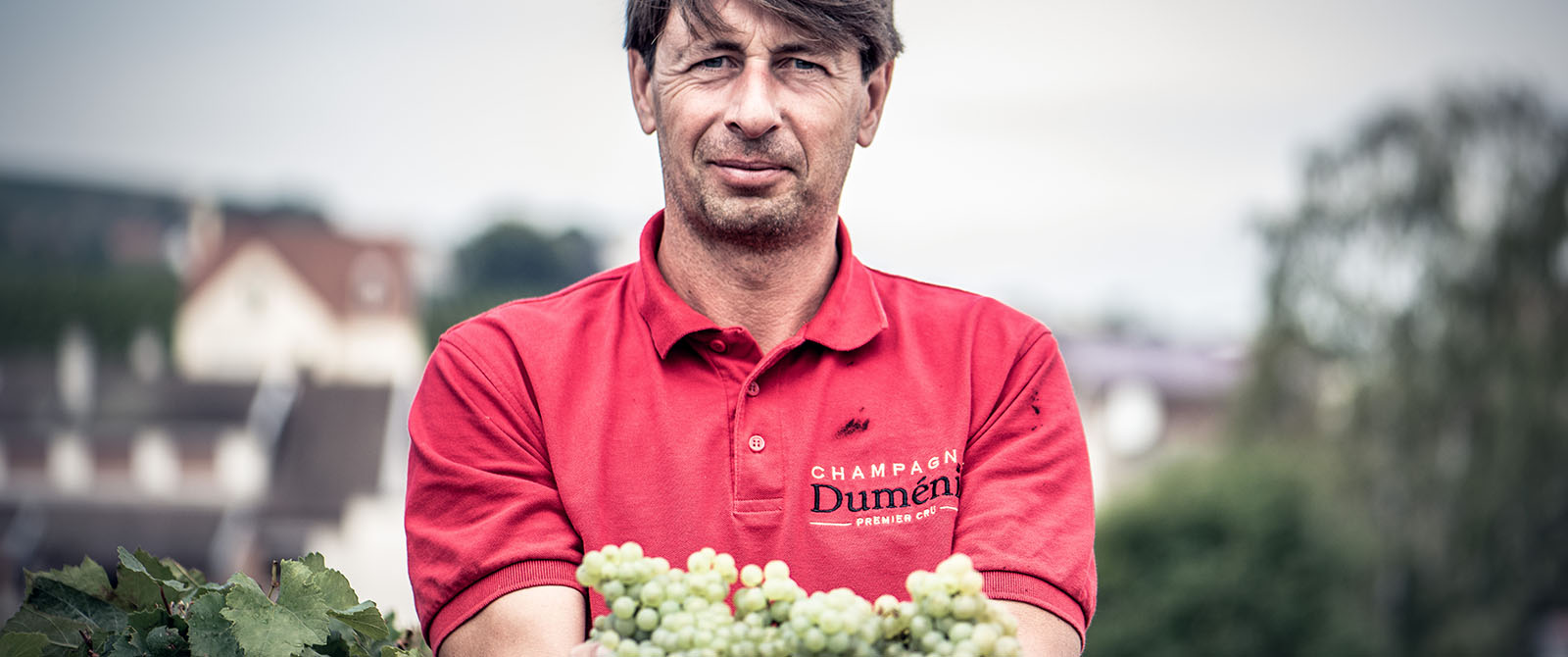 Les vendanges, un moment clé